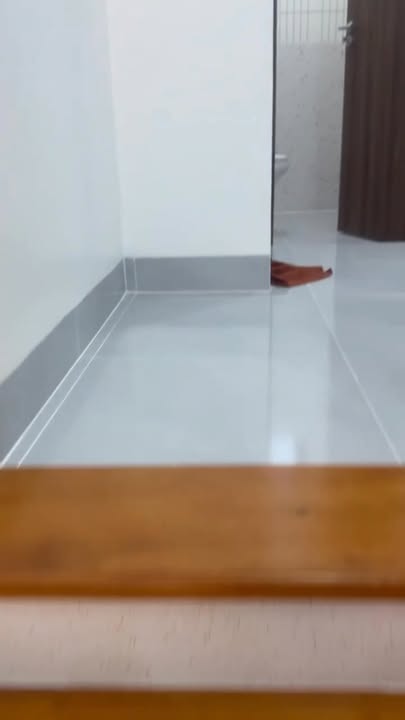 Nhà 1 trệt 1 lầu Tân Hạnh Vĩnh Long 100m² giá 2.79 tỷ - Full nội thất sang trọng!