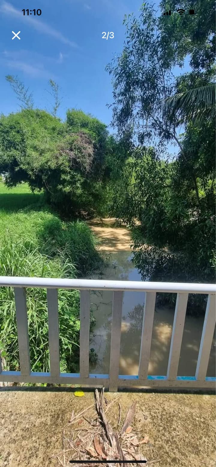 Đất nông nghiệp 3000m² Thôn Thuận Thành, Hàm Liêm - Giá chỉ 670 triệu!