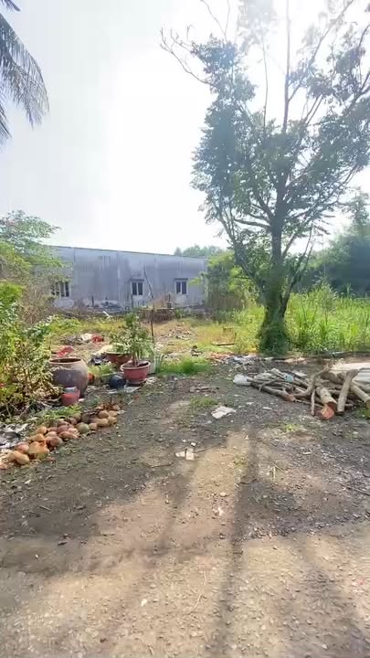 Đất nền Long Phước, Long Thành 141m² - Gần sân bay Quốc tế Long Thành chỉ 5 phút!