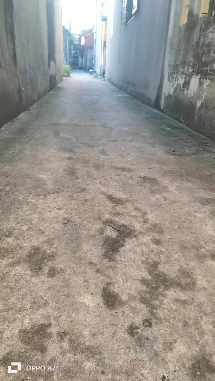 Đất đẹp tại thôn Dinh, xã Tân Bình 77m² giá 1.3 tỷ - Sổ đỏ chính chủ!