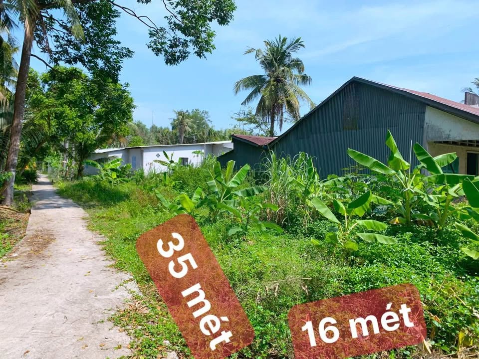 Đất nền 2 mặt tiền ấp Gò Đất, xã Bình An, 560m² giá 700 triệu - Đầu tư sinh lời ngay!