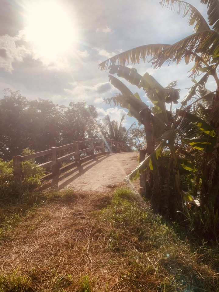 Đất nền 2000m² xã Phú Lễ, Bến Tre - Giá chỉ 320 triệu, đầu tư sinh lời!