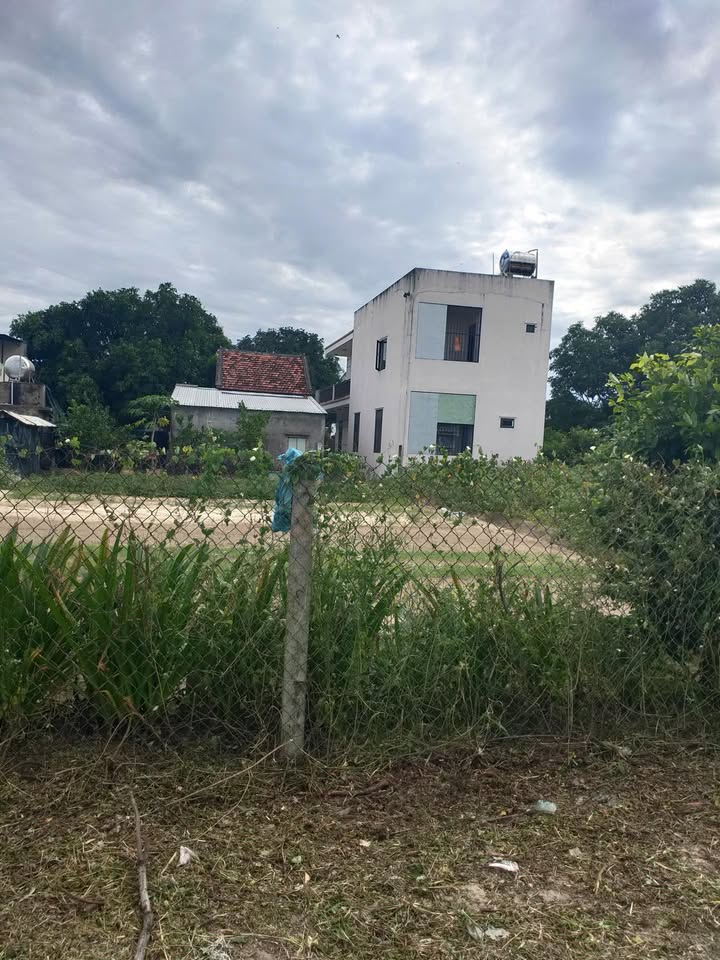 Đất liền kề Tân Khai - Điện Dương 250m² giá 1.3 tỷ - Đầu tư sinh lời ngay!