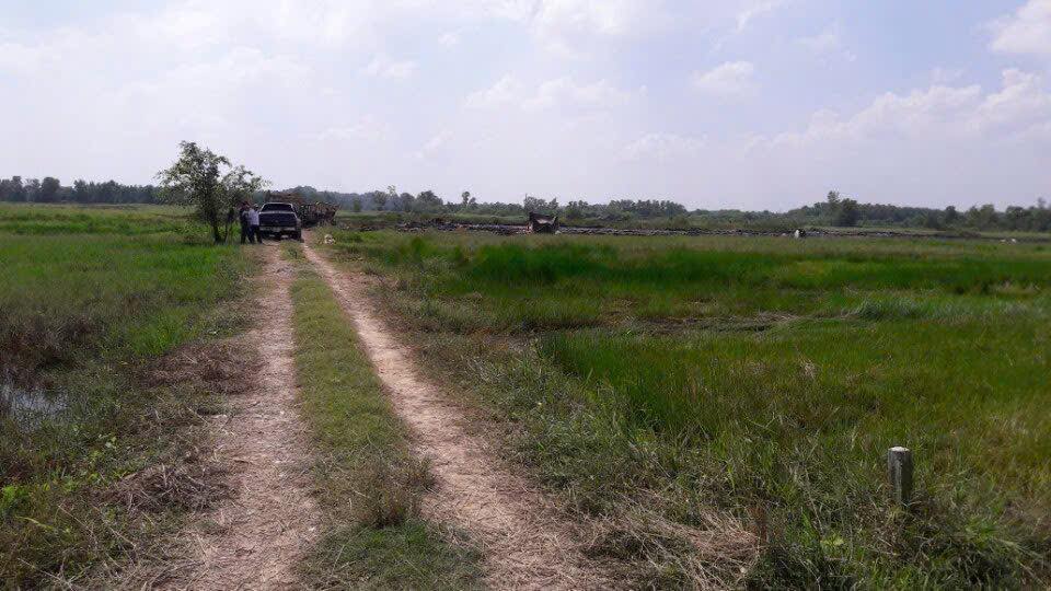 Đất nông nghiệp Tân Thạnh Tây 7.524m² giá 11 tỷ - Cơ hội đầu tư lý tưởng!