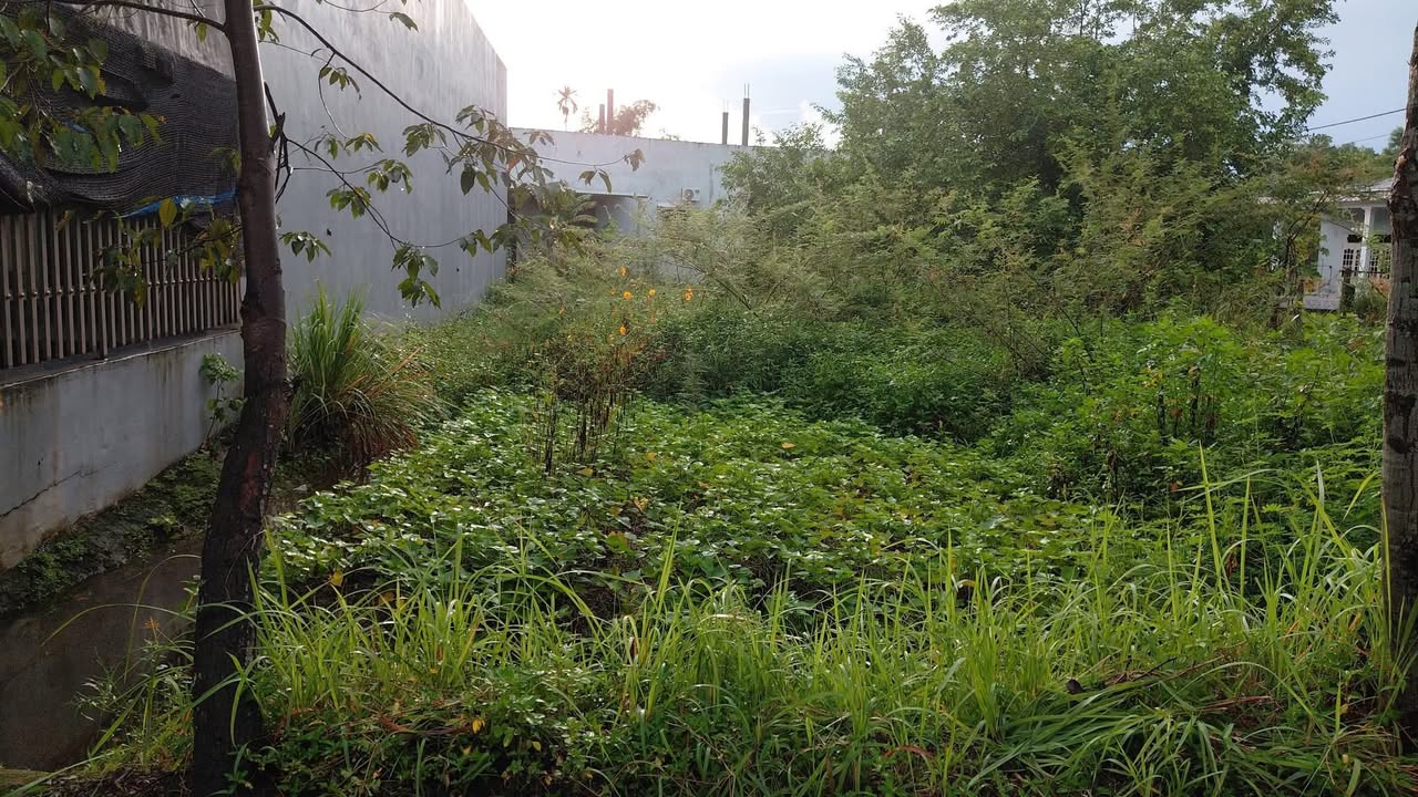 Đất nền Hòa Tiến, Đà Nẵng 150m² giá 1.6 tỷ - Đường ô tô tránh, hướng Đông!