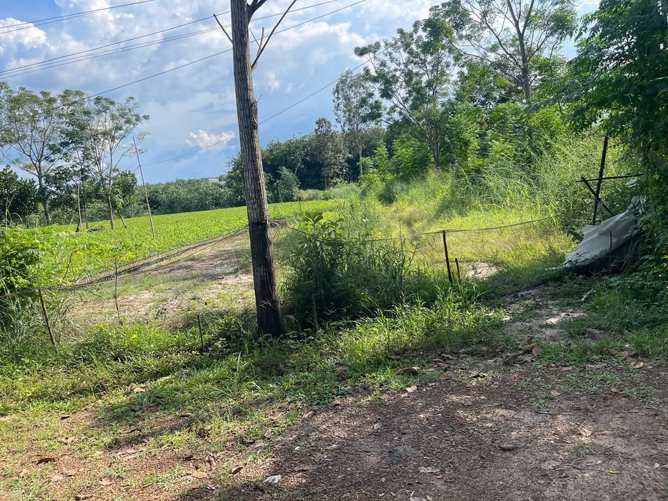 Đất nền Trừ Văn Thố, Bàu Bàng 155m² giá 600 triệu - Đầu tư sinh lời ngay!