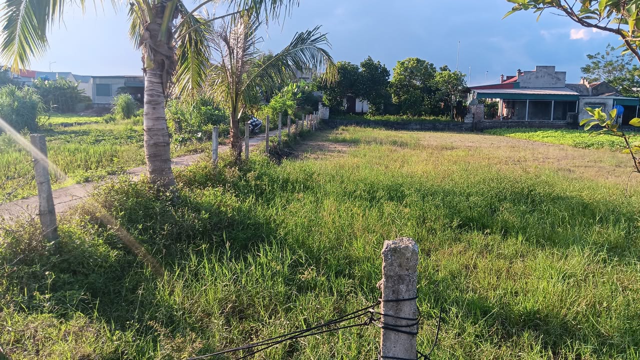 Đất nền Hậu Lộc Thanh Hóa 650m² - Hướng Nam, Gần tỉnh lộ 526