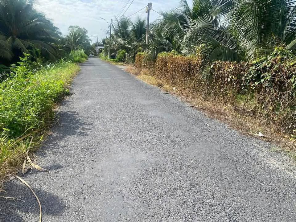 Đất vườn 8000m² tại Tân Mỹ Chánh, Mỹ Tho - Giá chỉ 1.7 tỷ!