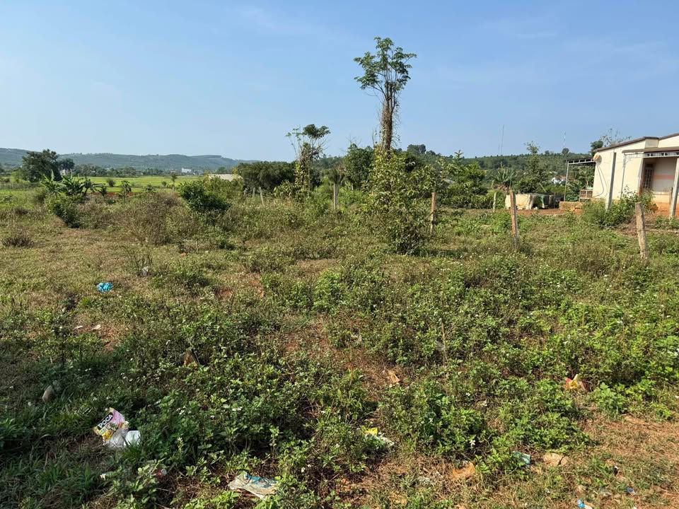 Đất nền Đắk Môl, Đắk Song 500m² giá 900 triệu - Cơ hội đầu tư sinh lời!