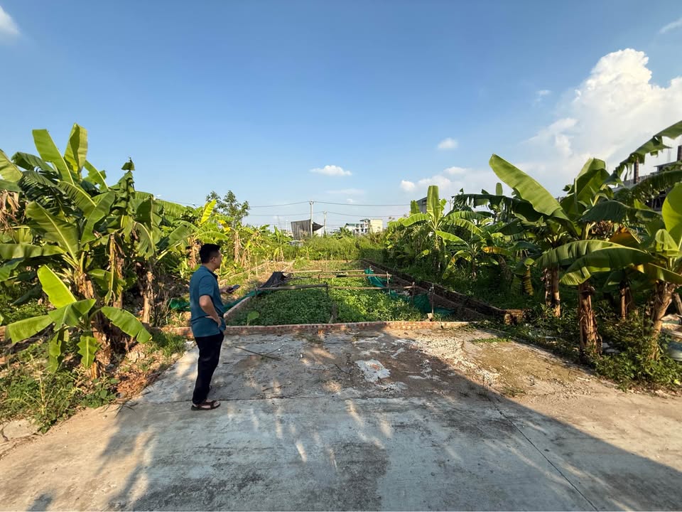 Đất nền 96m² tại phường Lại Yên, Hoài Đức - Giá chỉ 1.152 tỷ, cơ hội đầu tư tuyệt vời!