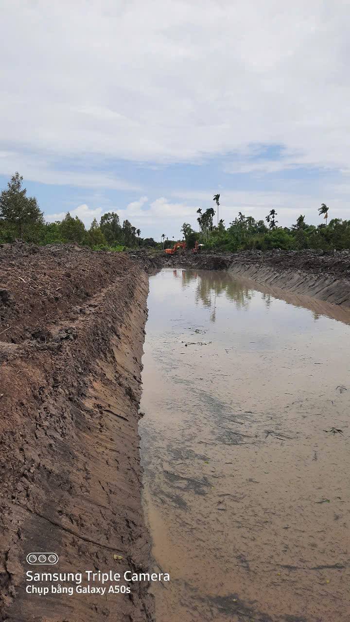 Đất mặt tiền Tỉnh Lộ 917, xã Phong Điền, 1500m² - Cơ hội đầu tư tuyệt vời!