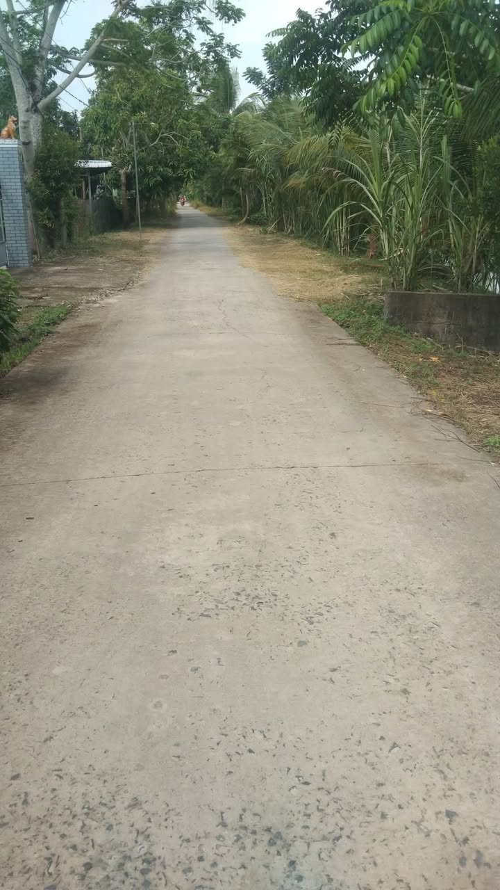 Đất Farm 16.000m² xã Đông Hiệp, huyện Cờ Đỏ - Chỉ 8.8 tỷ, thương lượng!