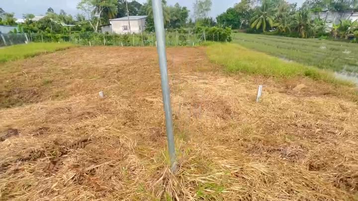 Đất nền thổ cư xã Tân Lược, Vĩnh Long 90m² giá chỉ 350 triệu - Cơ hội đầu tư tuyệt vời!