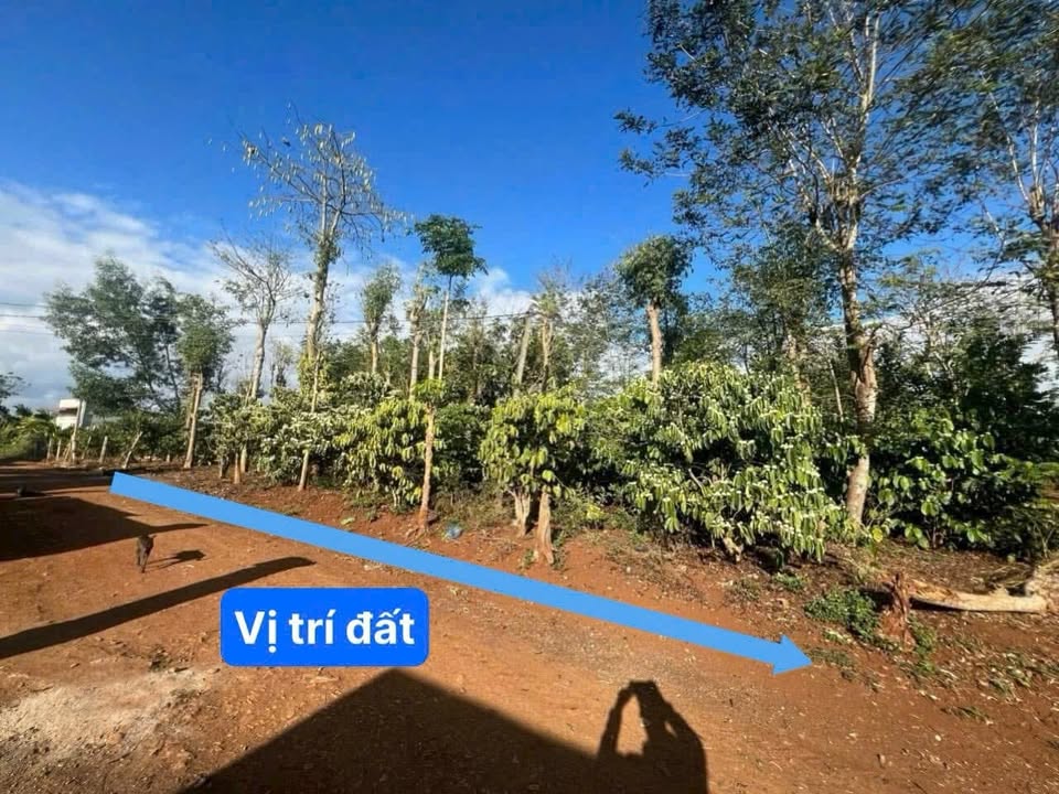 Lô đất Ea Siên Buôn Hồ 259 triệu - Giá cực mềm, sổ hồng chính chủ!