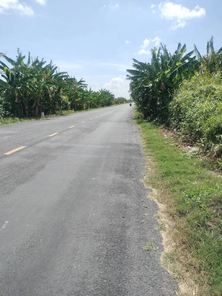 Đất nền mặt tiền sông Đốc, xã Hưng Mỹ, Cà Mau 1875m² giá 450 triệu - Cơ hội đầu tư hấp dẫn!