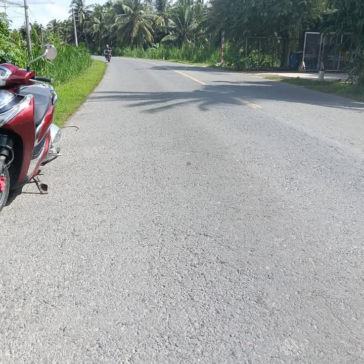 Đất vườn dừa 1045m² mặt tiền Quốc Lộ 57C - Giá chỉ 3.04 tỷ