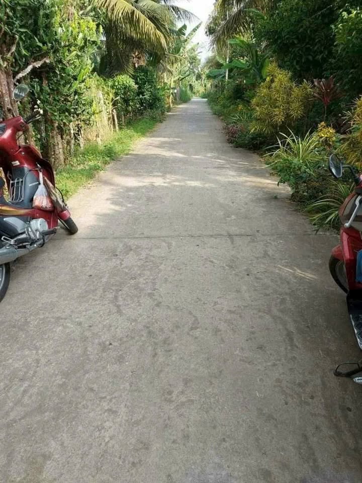 Đất nền góc 2 mặt tiền tại xã Phú Túc, 1623m² chỉ 1.6 tỷ - Cơ hội đầu tư sinh lời!