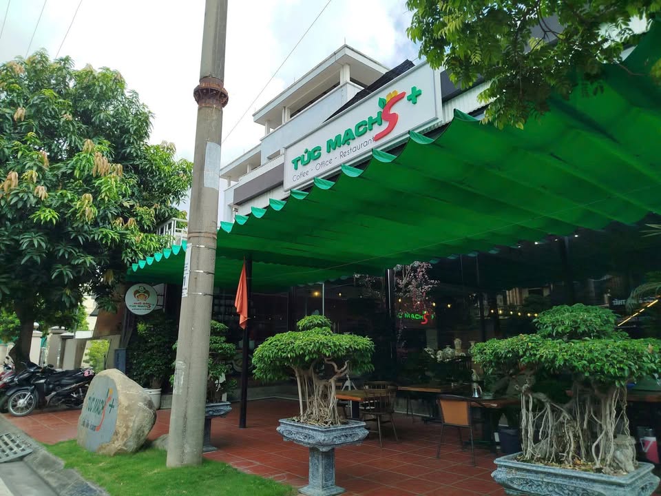 Nhà hàng TÚC MẠCH+ Hải Dương 650m² - Sang nhượng mô hình đa năng, khách ổn định!