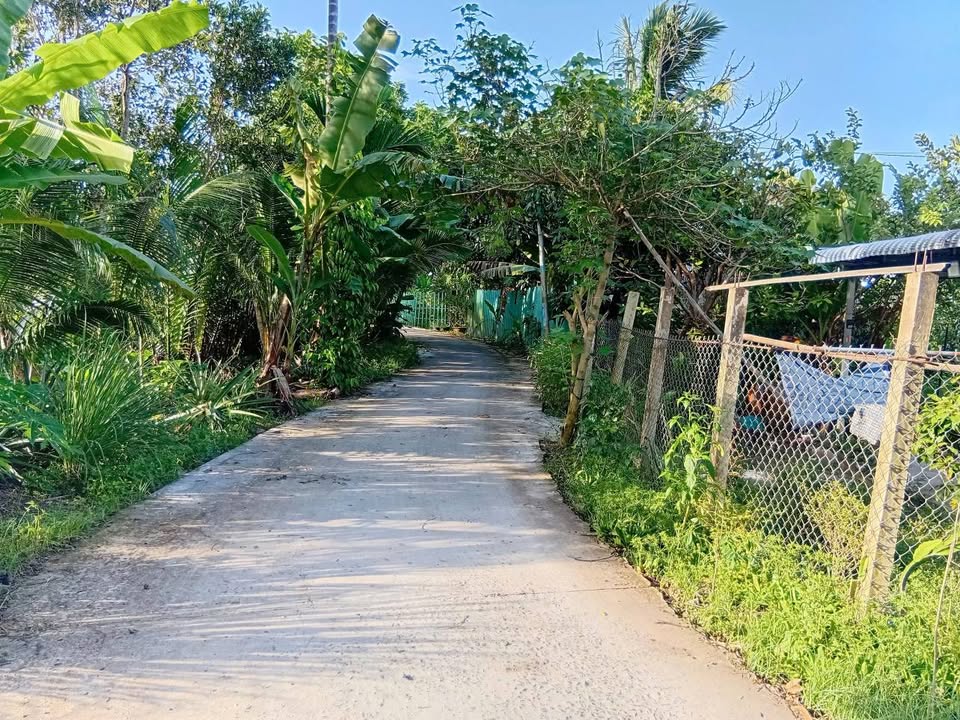 Đất nền mặt tiền lộ 3m Phước Thới, Ô Môn 199m² giá 500 triệu - Cơ hội đầu tư hấp dẫn!