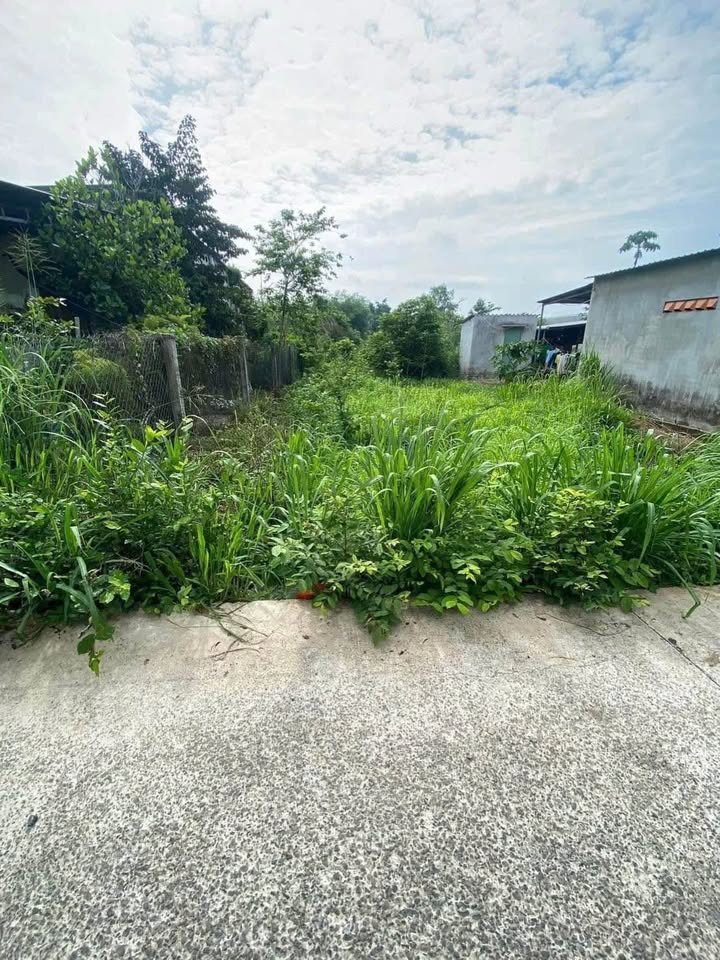 Đất nền Phước Long Thọ Đất Đỏ 576m² - Đầu tư sinh lời lý tưởng!