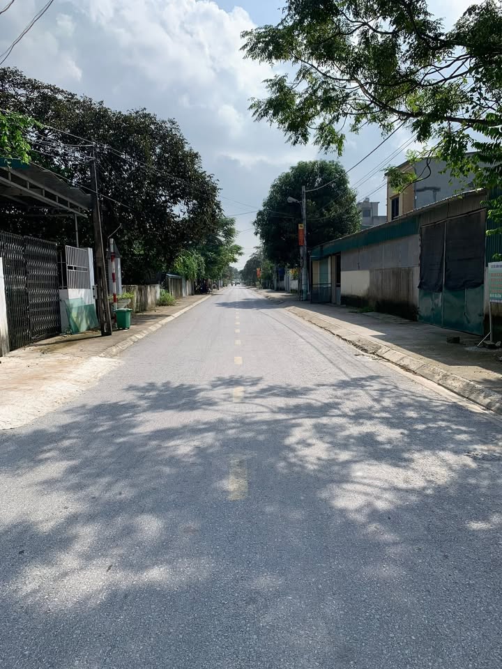 Đất nền Đông Quang 187,5m² giá 2,45 tỷ - Đầu tư sinh lời ngay!