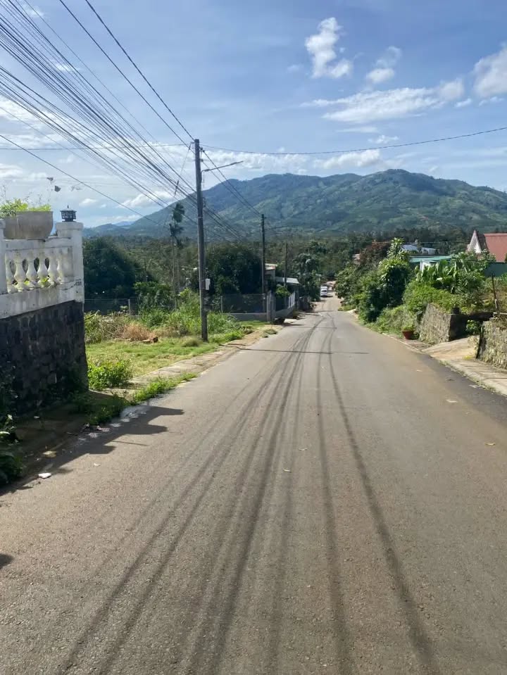 Đất hẻm nhựa 1/5 B'Lao Bảo Lộc 140m² giá 1.6 tỷ - View đẹp, chính chủ bán!