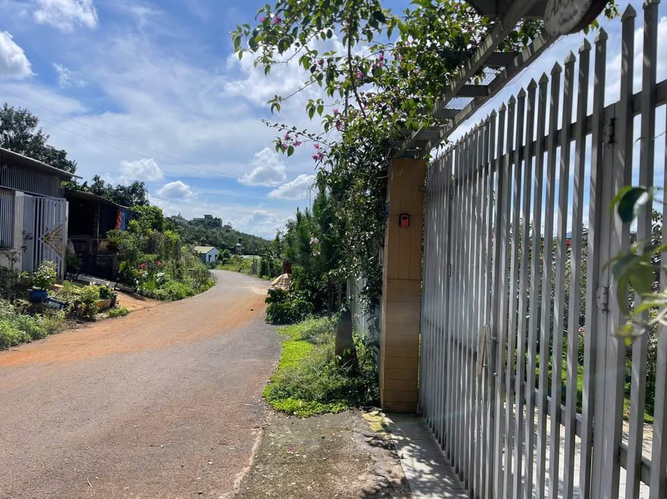 Đất nền Trần Quý Cáp Đambri Bảo Lộc 468m² giá 1.97 tỷ - Cơ hội đầu tư lý tưởng!