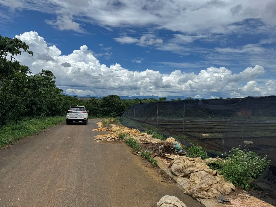 Đất nền thổ cư Lộc Ngãi Bảo Lâm 3600m² giá 2.5 tỷ - Đầu tư sinh lời ngay!