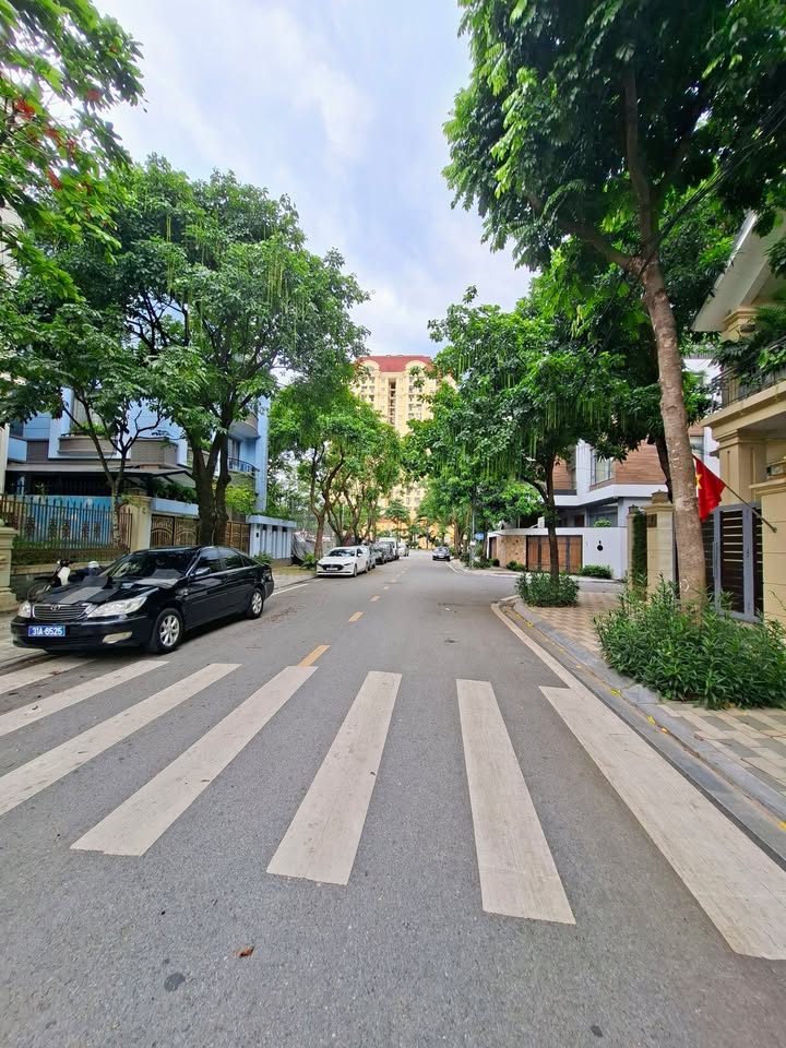 Nhà mặt phố Linh Lang, Ba Đình 84m² giá 60 tỷ - Kinh doanh sầm uất!