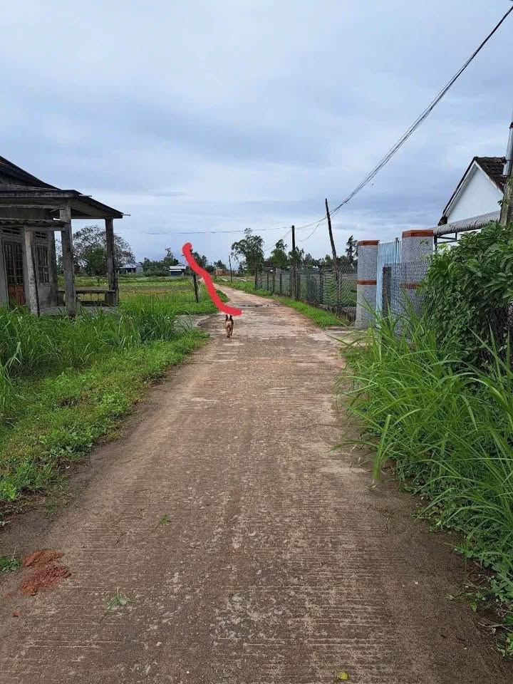 Đất nền xã Đức Minh, huyện Mộ Đức 450m² - Gần biển, sổ đỏ chính chủ!