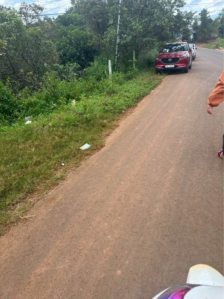 Đất mặt tiền đường nhựa Kiến Đức 1886m² - Cơ hội đầu tư tuyệt vời!