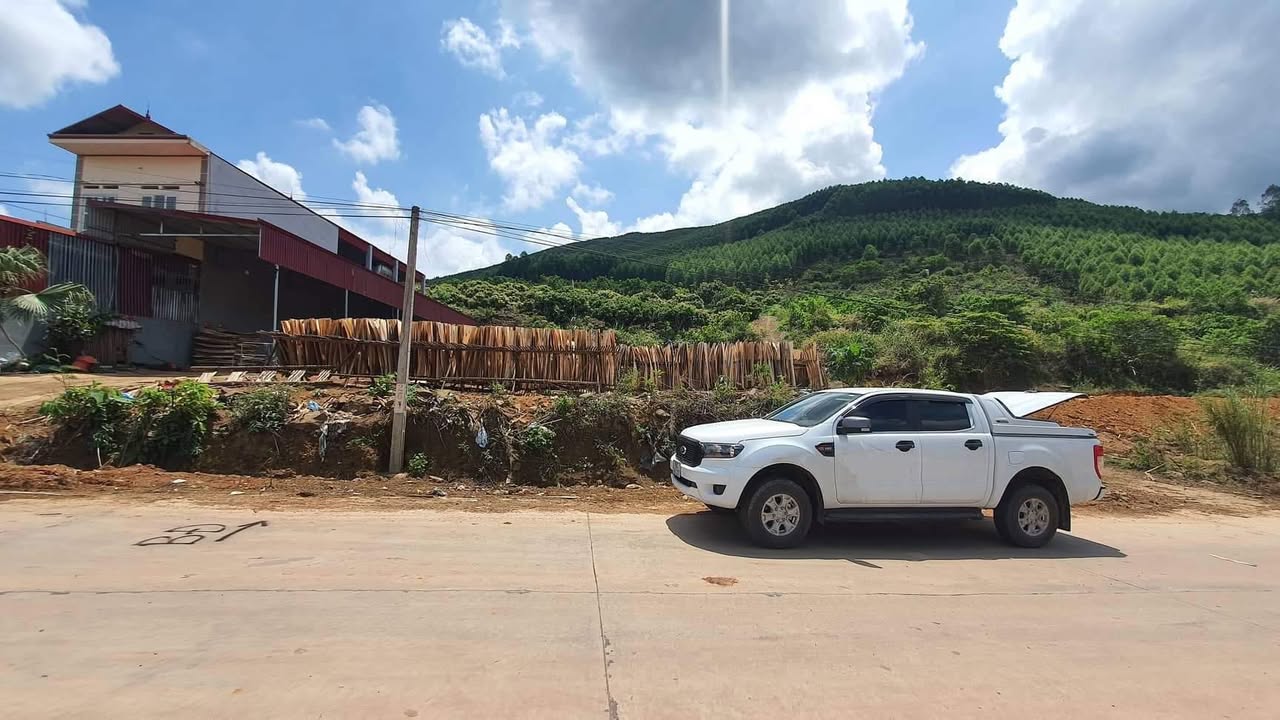 Đất ở Tân Lập, Lục Ngạn 280m² - Giá mềm, mặt tiền 10m