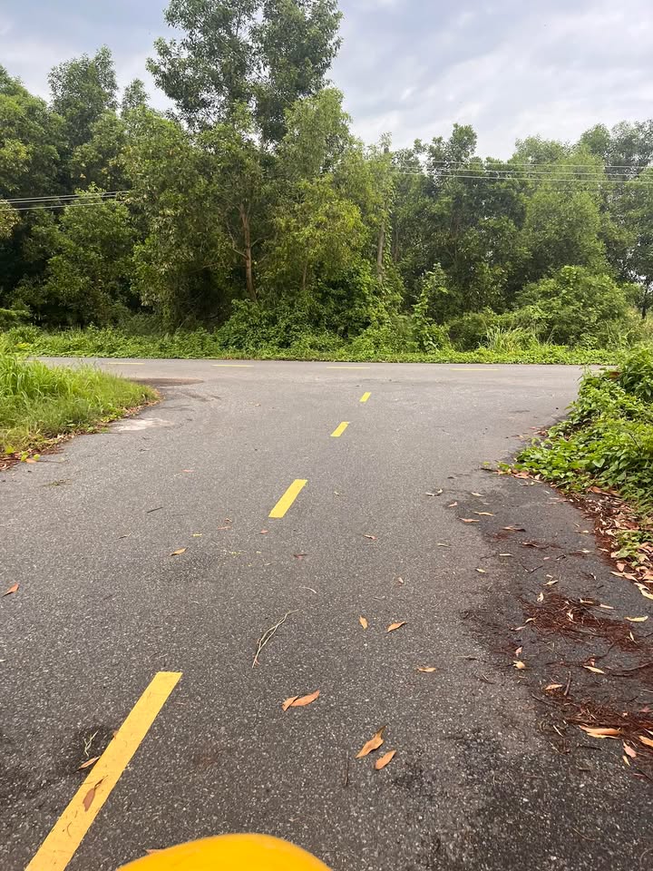 Đất thổ cư Phước Long Thọ 222m² giá 700 triệu - Cơ hội đầu tư hấp dẫn!