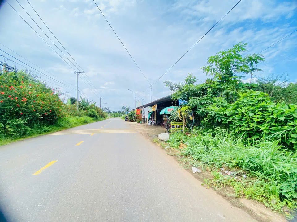 Đất mặt tiền đường Suối Chồn, Bảo Vinh 234m² giá 450 triệu - Phong thủy tốt, đầu tư sinh lời!