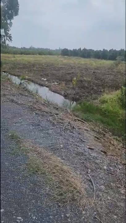 Đất nền 500m² tại Ấp 3, xã Tân Thành, Thủ Thừa - Giá chỉ 450 triệu!