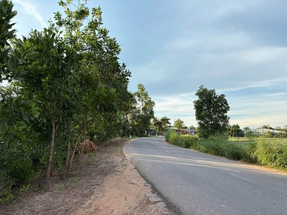 Đất nền Tân Hội, Tân Châu, Tây Ninh 1625m² giá 4.55 tỷ - Cơ hội đầu tư tuyệt vời!