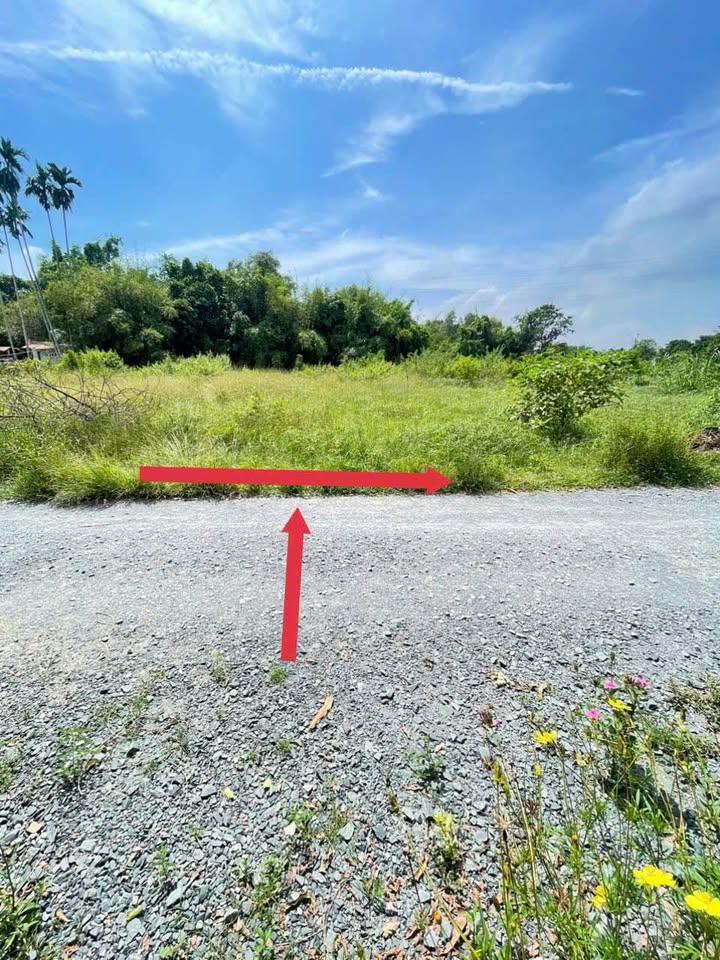 Đất thổ cư xã Thái Mỹ, huyện Củ Chi, 178m² - Giá 1 tỷ, đầu tư sinh lời!