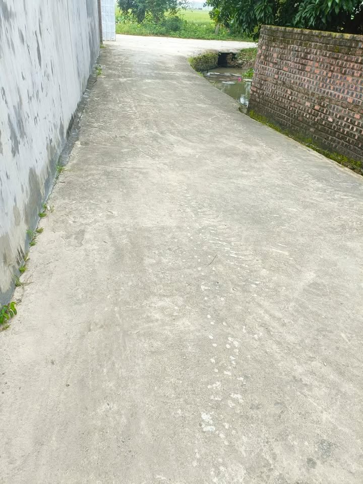 Lô đất đẹp tại Yên Việt, Đông Cứu 82m² giá 2 tỷ - Đầu tư sinh lời ngay!