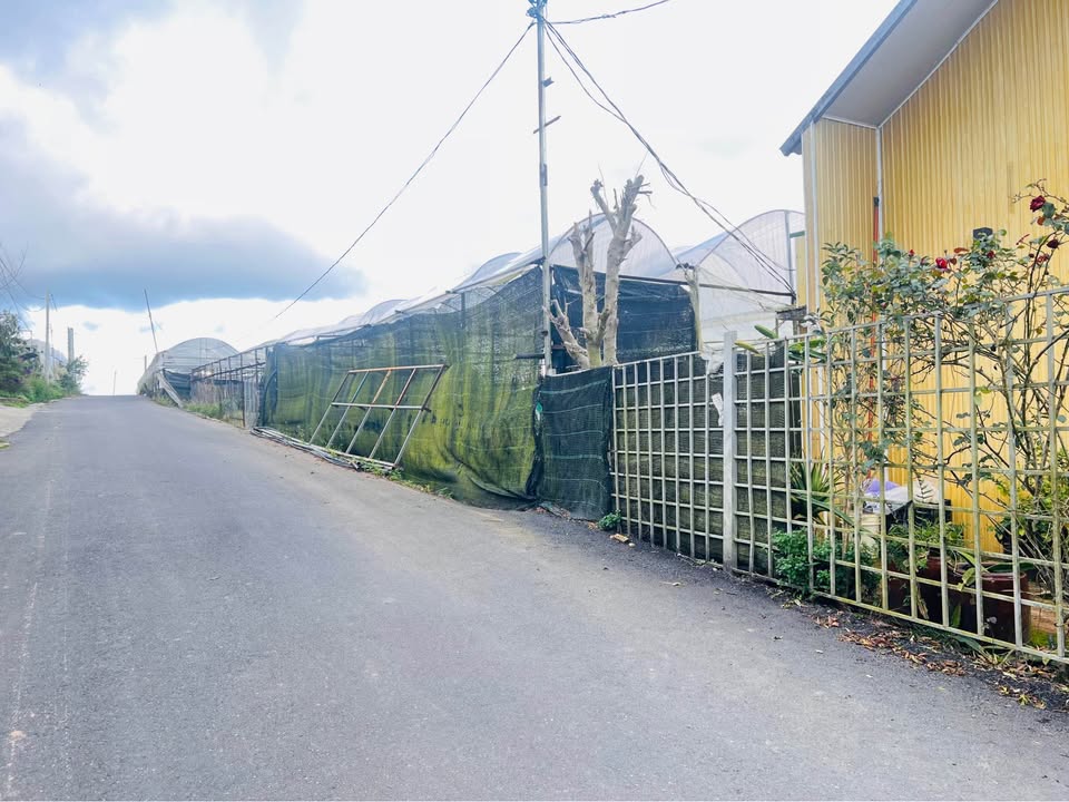 Đất nền Đà Lạt 800m² giá 9.6 tỷ - Sổ đỏ chính chủ, mặt tiền 25m!