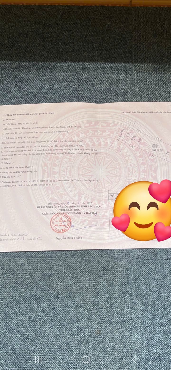 Đất nền Hồng Giang, Lục Ngạn 180m² giá chỉ 700 triệu - Cơ hội đầu tư hấp dẫn!