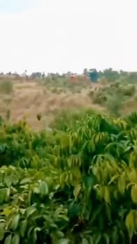 Đất nền Quảng Hiệp, Cư M'gar, Đắk Lắk 9700m² - Sổ đỏ chính chủ, tiện ích đầy đủ!