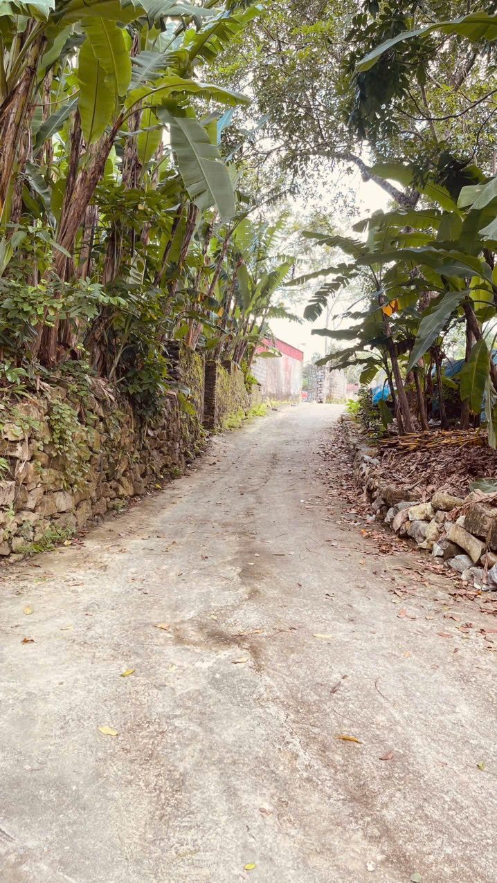 Đất thổ cư Hạc Oa Đông Cương 304m² giá 1.092 tỷ - Cơ hội đầu tư hiếm có!