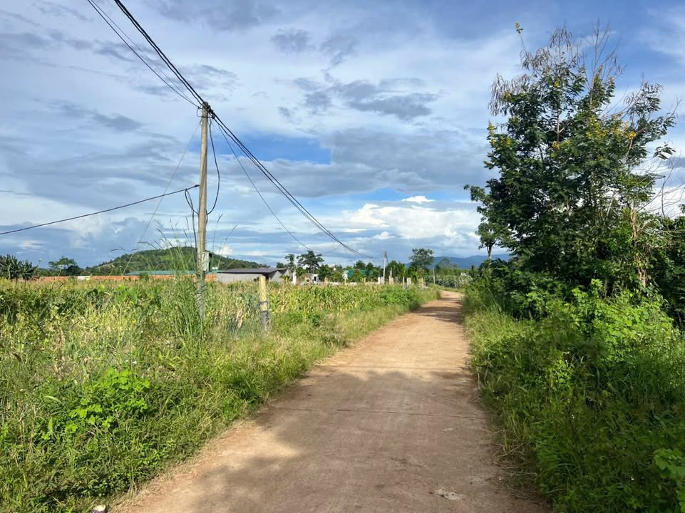 Đất thổ cư 4 Sào tại Krông Na, Buôn Đôn - Giá chỉ 890 triệu!