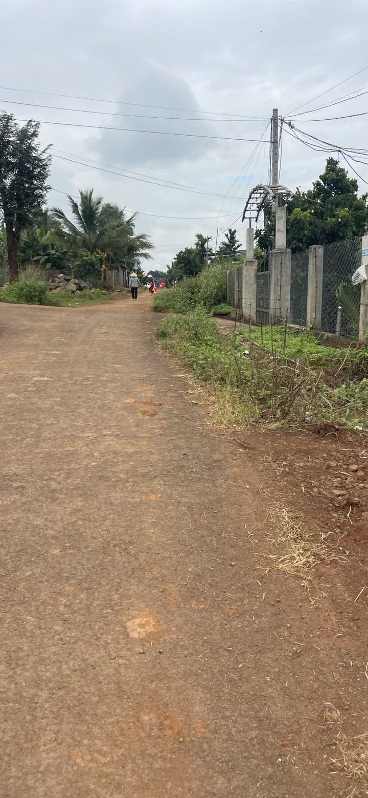 Đất nền khu phố 8, phường Cư Êbur, 125m² chỉ 780 triệu - Đầu tư sinh lời ngay!