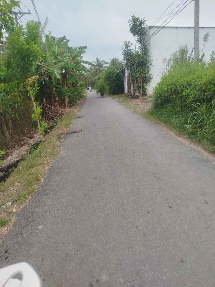 Đất nền Lương Hòa, Giồng Trôm 4132m² giá chỉ 1.5 tỷ - Cơ hội đầu tư tuyệt vời!