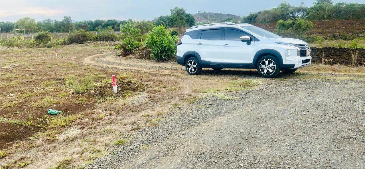 Đất 2 sào Long Tân - Đường nhựa bao quanh - Giá chỉ 1.59 tỷ