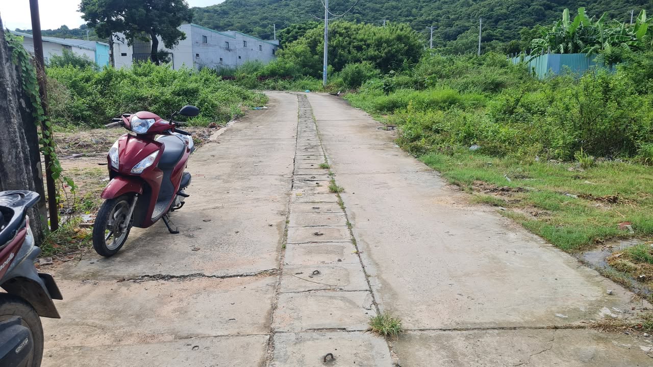 Đất thổ cư Phước Hưng, Long Điền 139m² giá 1.35 tỷ - Mặt tiền đường bê tông ô tô