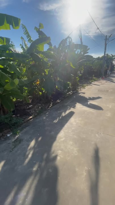 Đất thổ cư Vĩnh Hồng, Bình Giang 98m² giá 1 tỷ - Đầu tư sinh lời nhanh chóng!