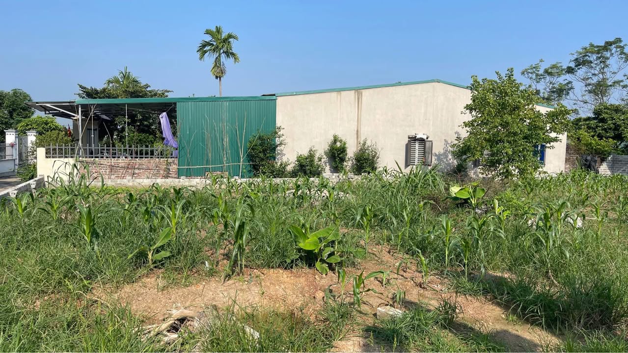 Đất nền Tản Lĩnh, Ba Vì 700m² giá 3 tỷ - Đầu tư sinh lời tuyệt vời!