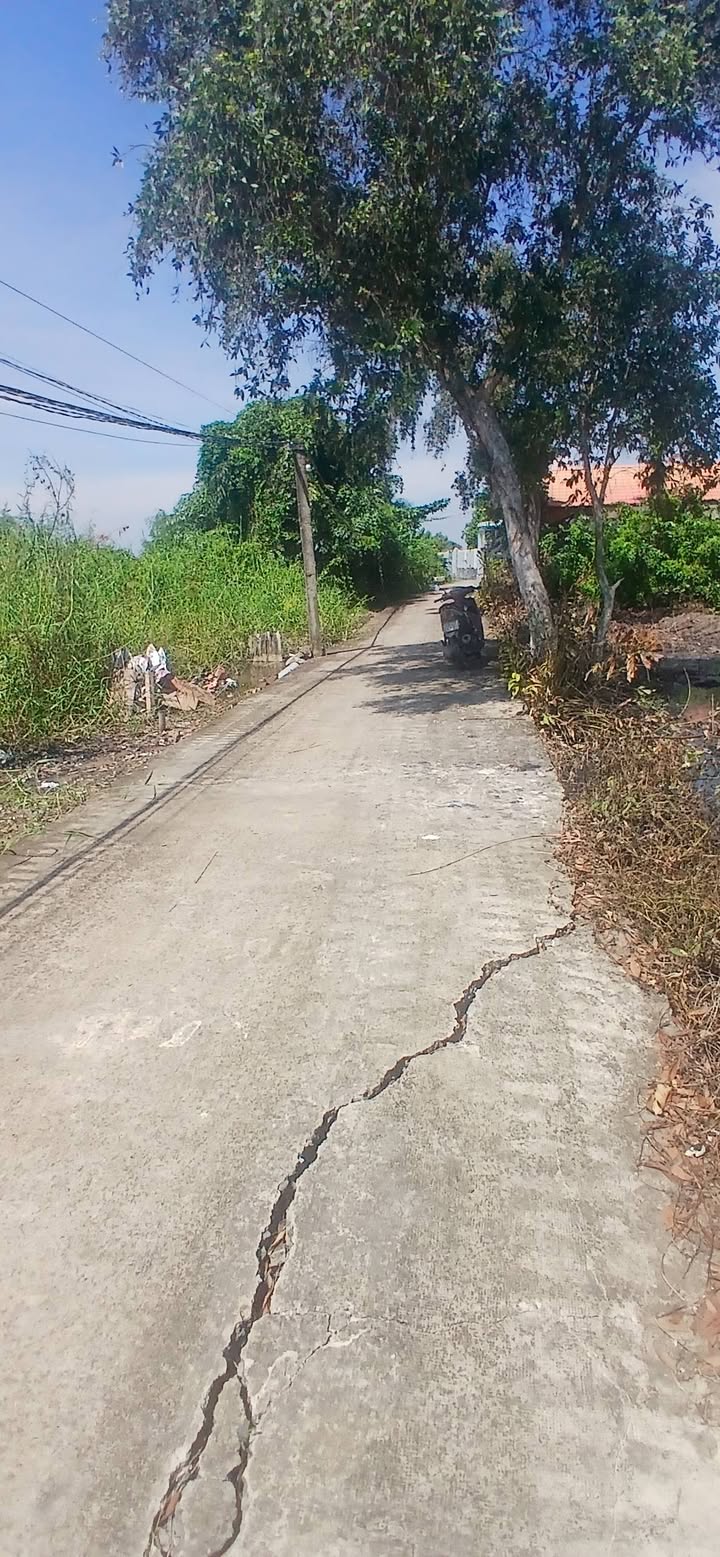 Đất thổ cư Mỹ Lộc, Cần Giuộc 200m² giá 1.25 tỷ - Đầu tư sinh lời ngay!